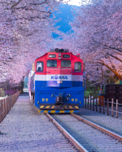 Menjelajahi 7 Jalur Kereta Api Paling Unik di Dunia